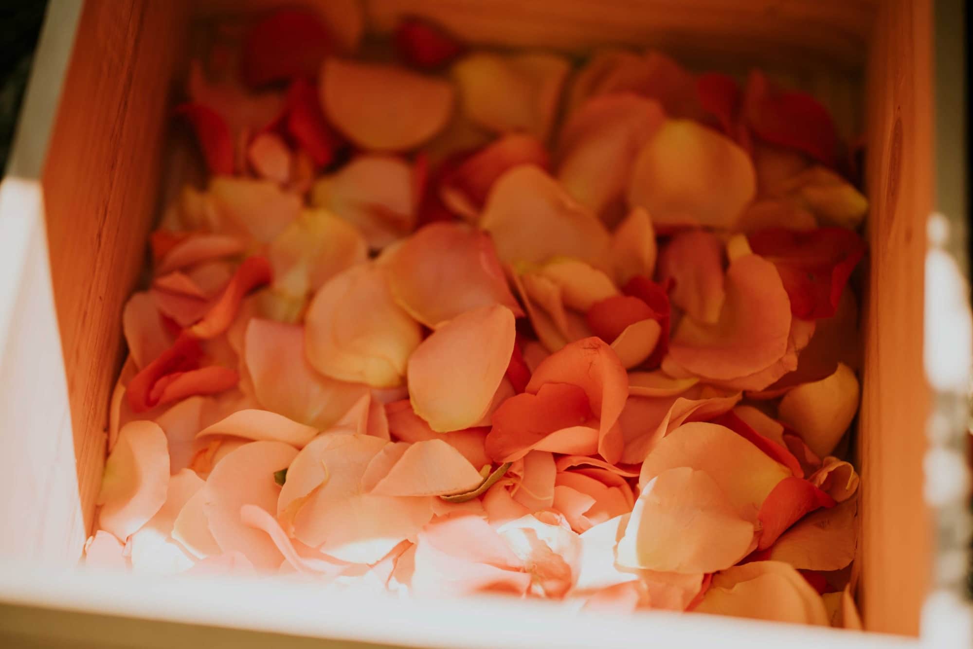 confettis biodegradable petales fleurs mariage colore