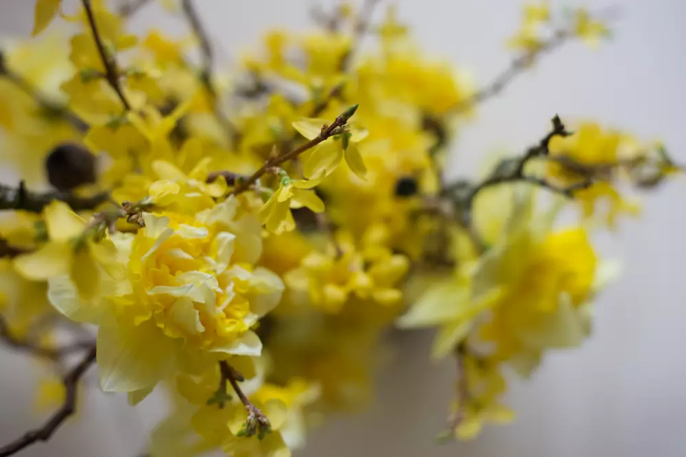 composition florale jaune mariage sarthe
