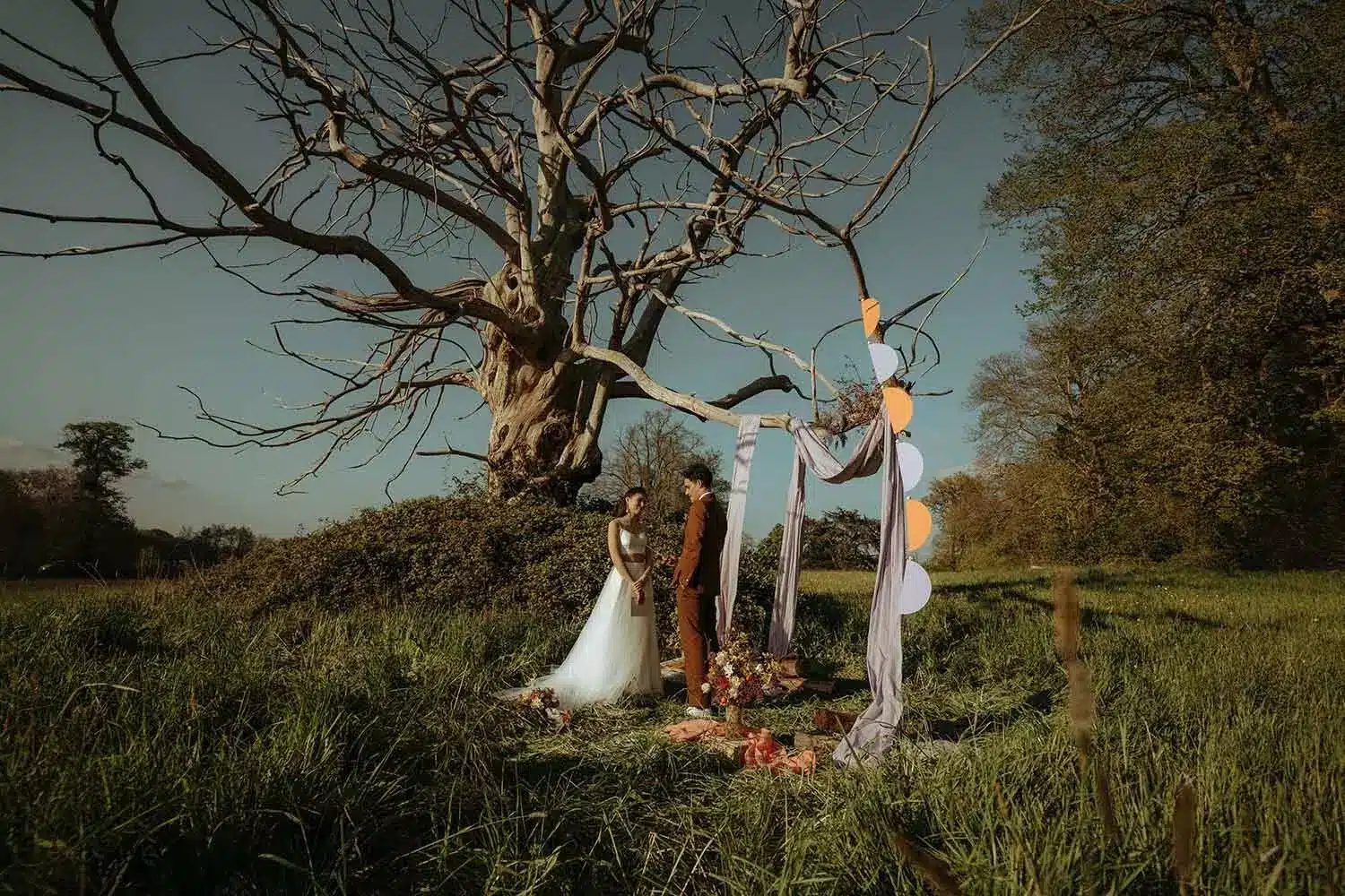 arche de ceremonie avec un arbre