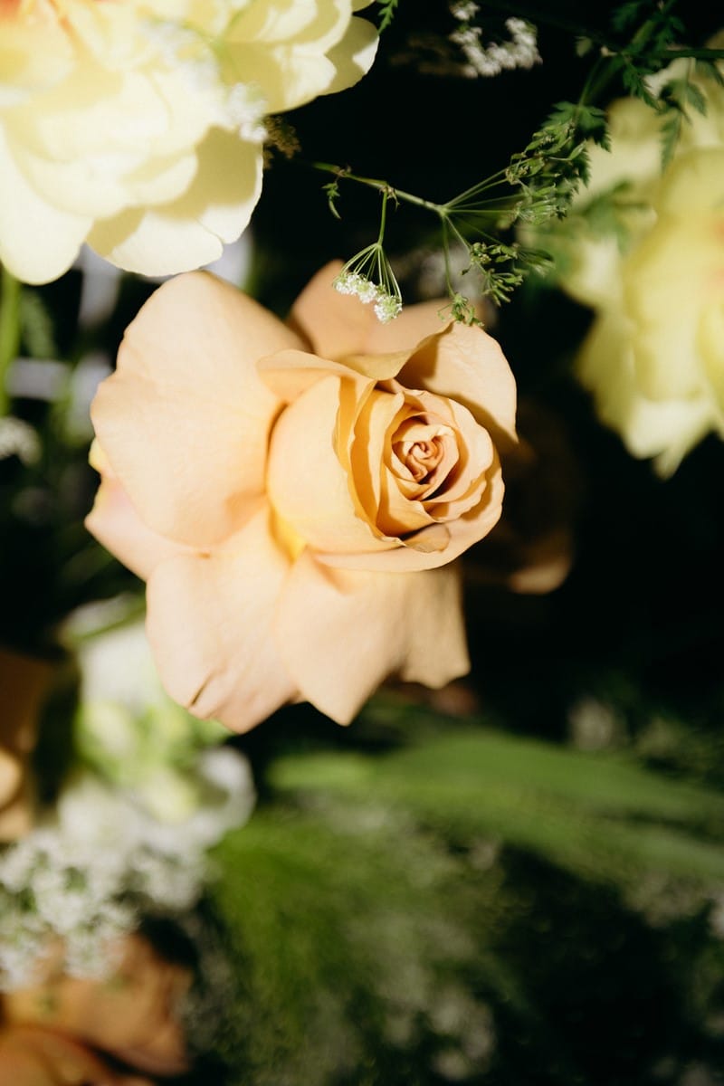 fleurs locale de gironde mariage